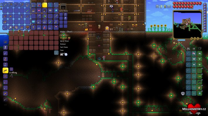 Obrázek ke hře Terraria