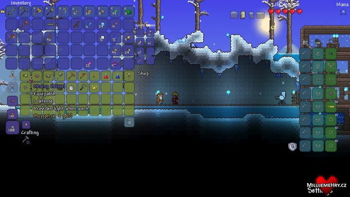 Obrázek ke hře Terraria