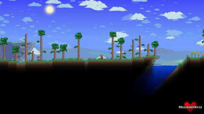 Obrázek ke hře Terraria