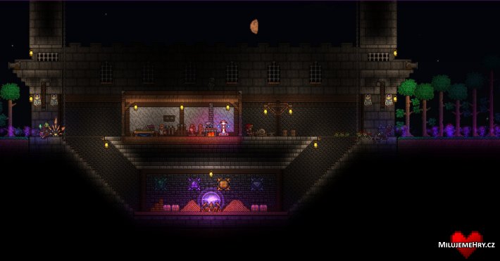 Obrázek ke hře Terraria