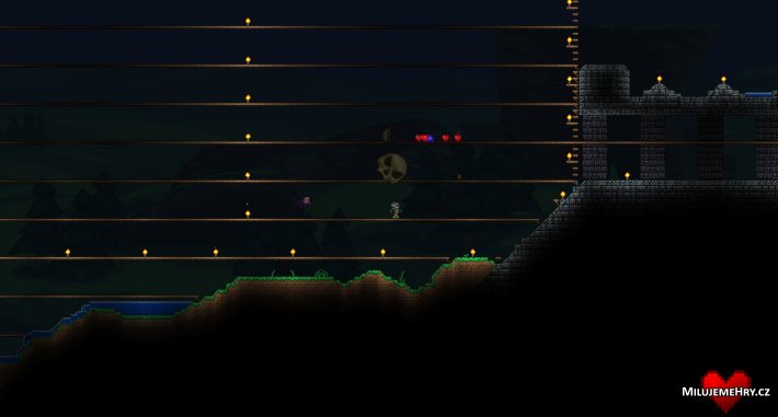 Obrázek ke hře Terraria