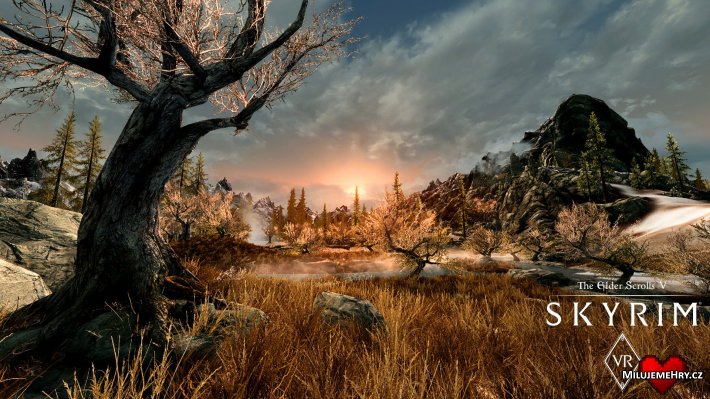 Obrázek ke hře The Elder Scrolls V: Skyrim VR