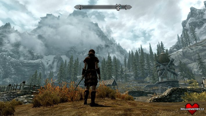 Obrázek ke hře The Elder Scrolls V: Skyrim